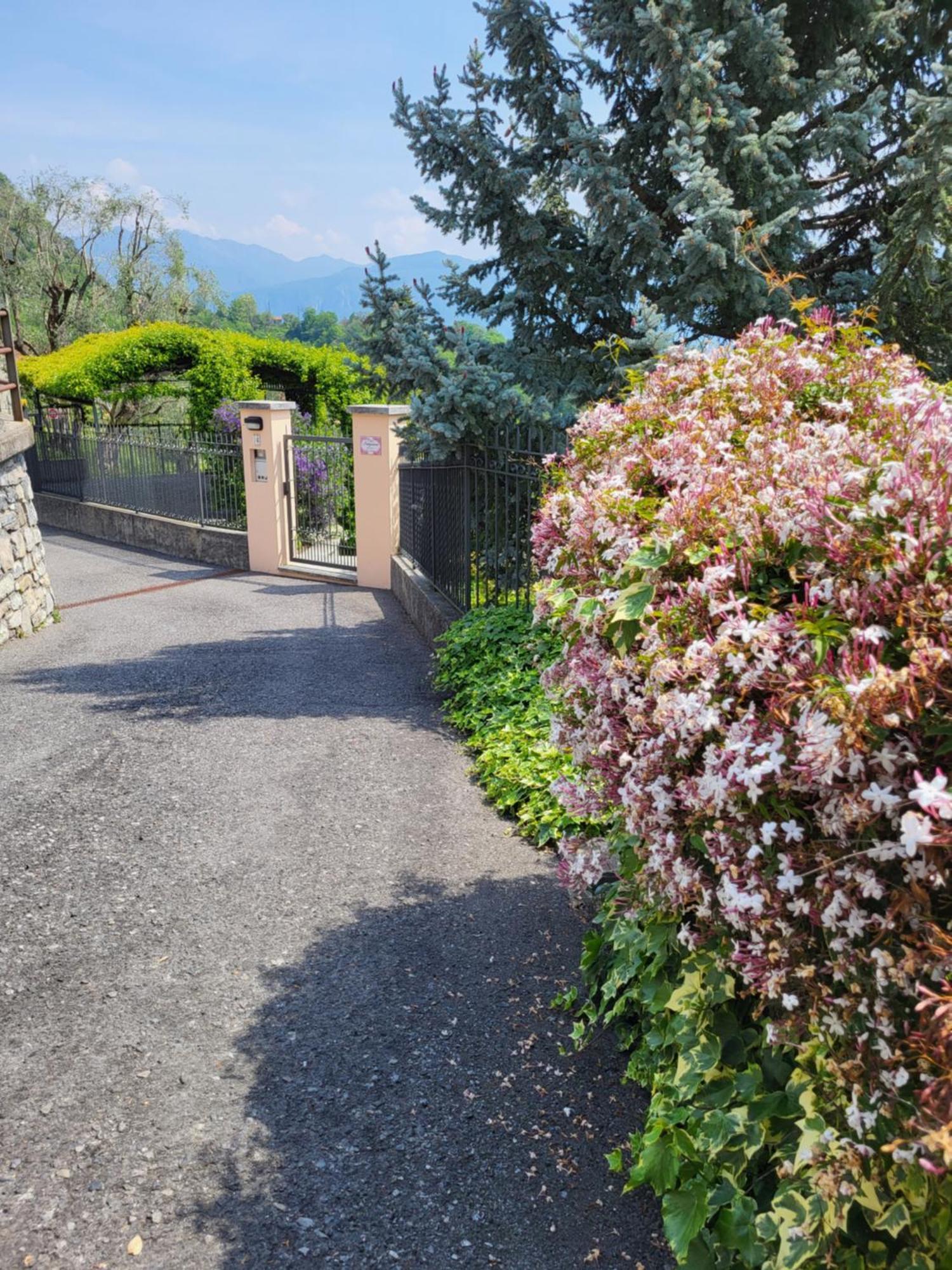 Casa Intignano - Appartamento Con Terrazzo Vista Lago Tremezzo Exterior foto