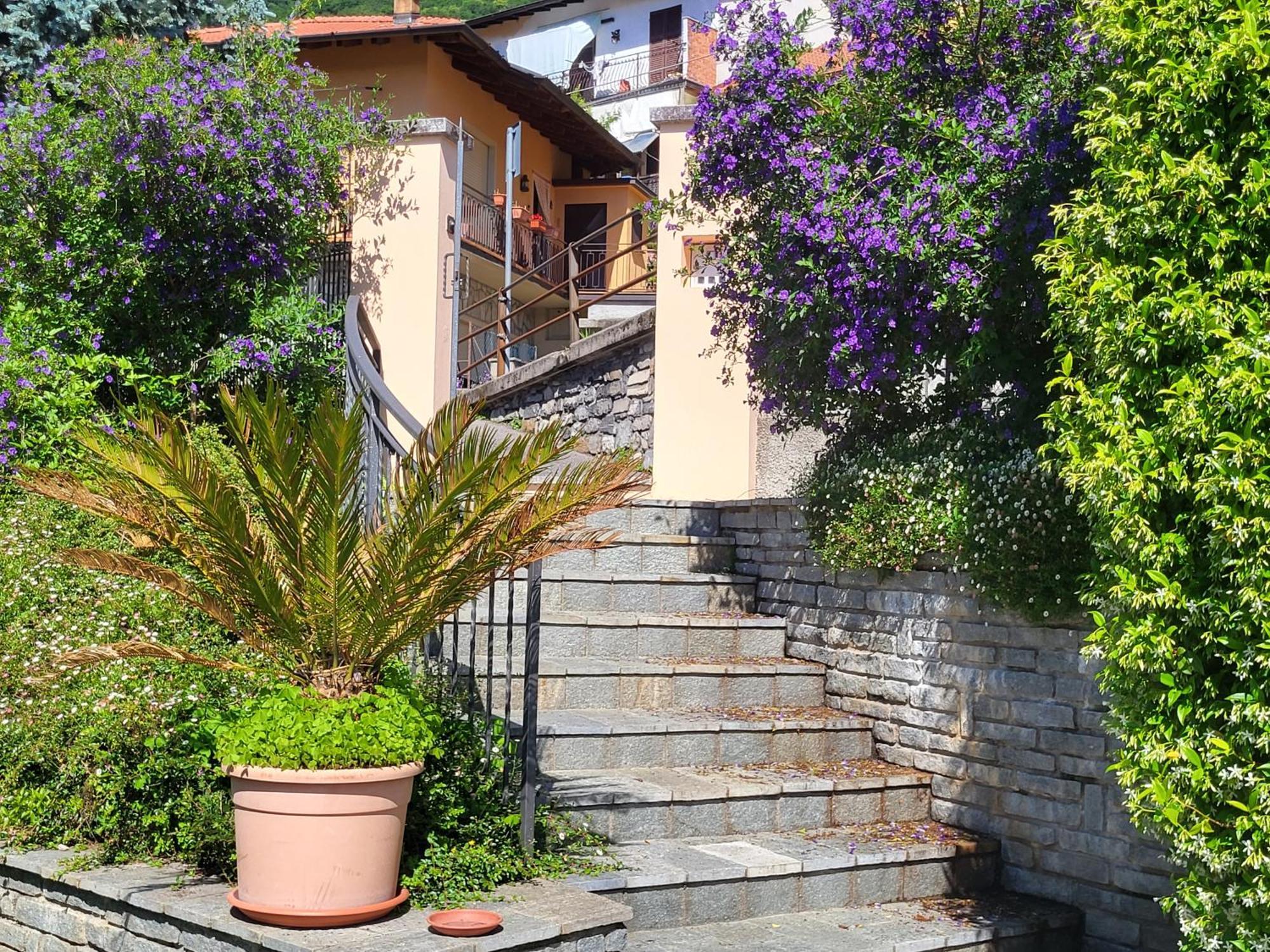 Casa Intignano - Appartamento Con Terrazzo Vista Lago Tremezzo Exterior foto