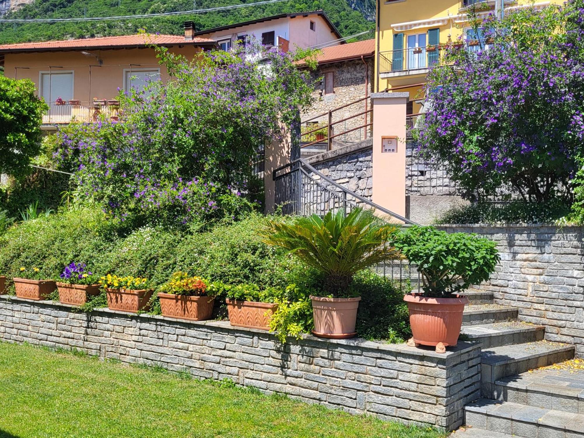 Casa Intignano - Appartamento Con Terrazzo Vista Lago Tremezzo Exterior foto